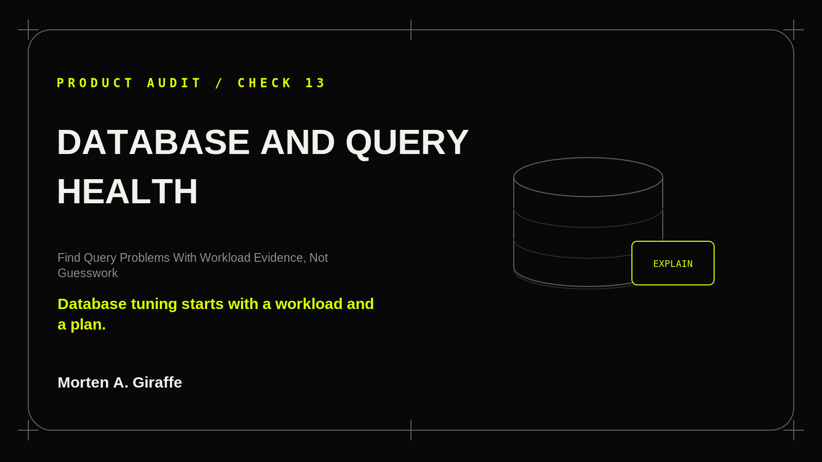 Product Audit Check 13 illustration for database and query health, using a simplified technical system diagram.